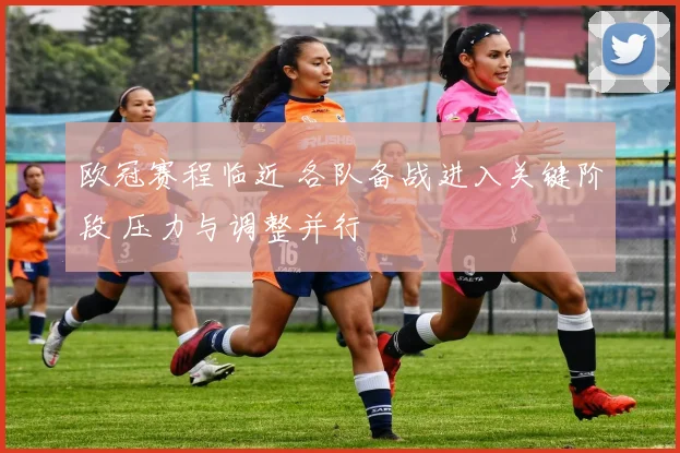 欧冠赛程临近 各队备战进入关键阶段 压力与调整并行
